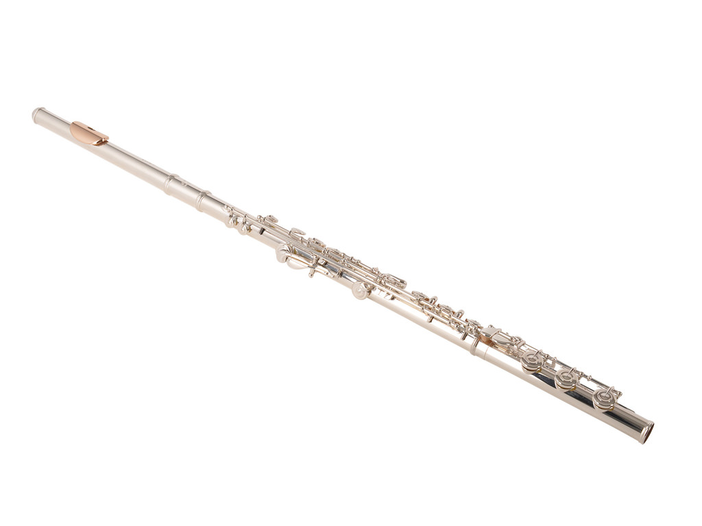 Flute online price hotsell