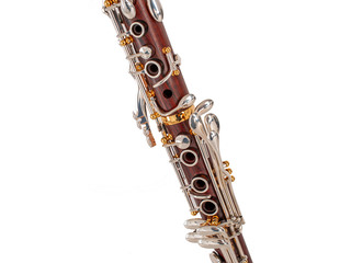 Buy Backun Protege cocobolo 18 6 Silver Gold Order online for the best price