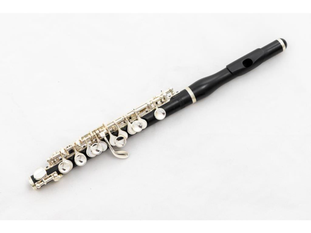 Hammig piccolo hotsell
