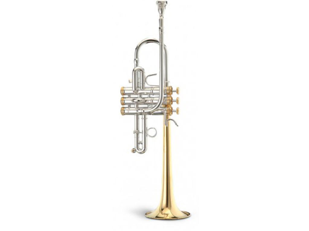 Buy Stomvi Master, Silver? Order online for the best price!