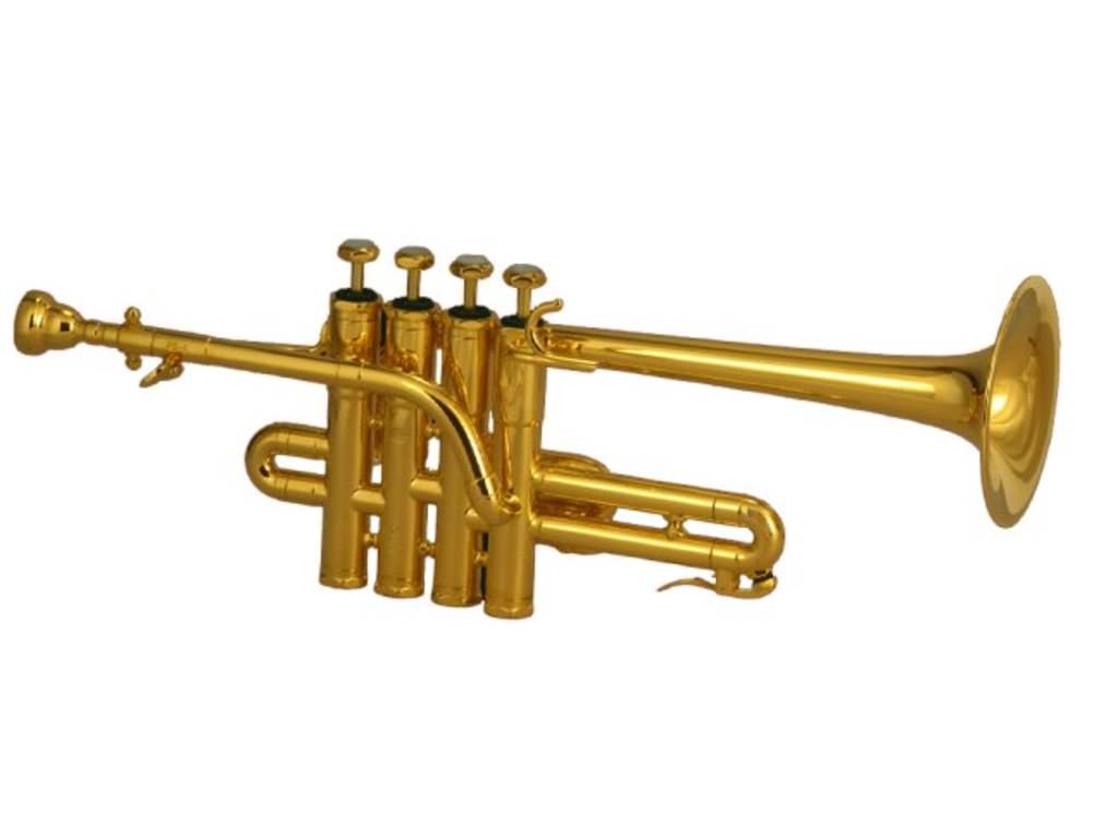 Schilke piccolo hotsell