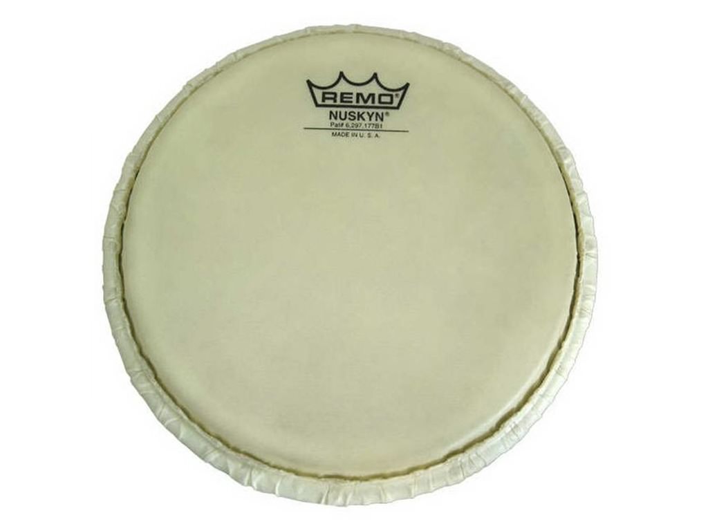 Best conga heads deals