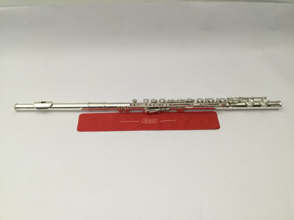 cant find model number on altus flute cant find model number on altus flute