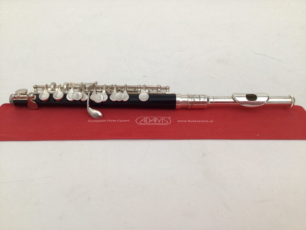 Second hand piccolo cheap