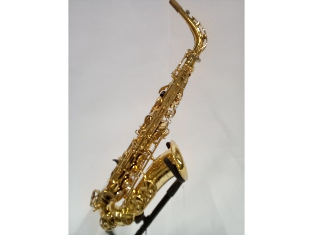 tyfoon beginsel Ook Gebruikte Alt Sax Yamaha YAS-875 Custom kopen? Bestel online, scherpste  prijs!