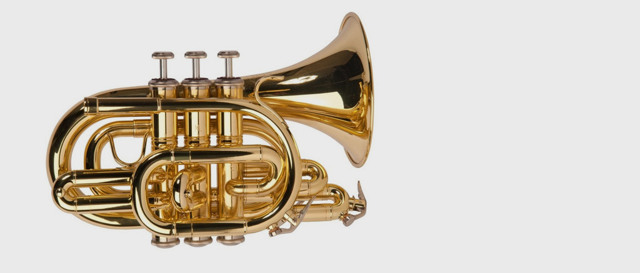 Trumpet type of instrument 2025