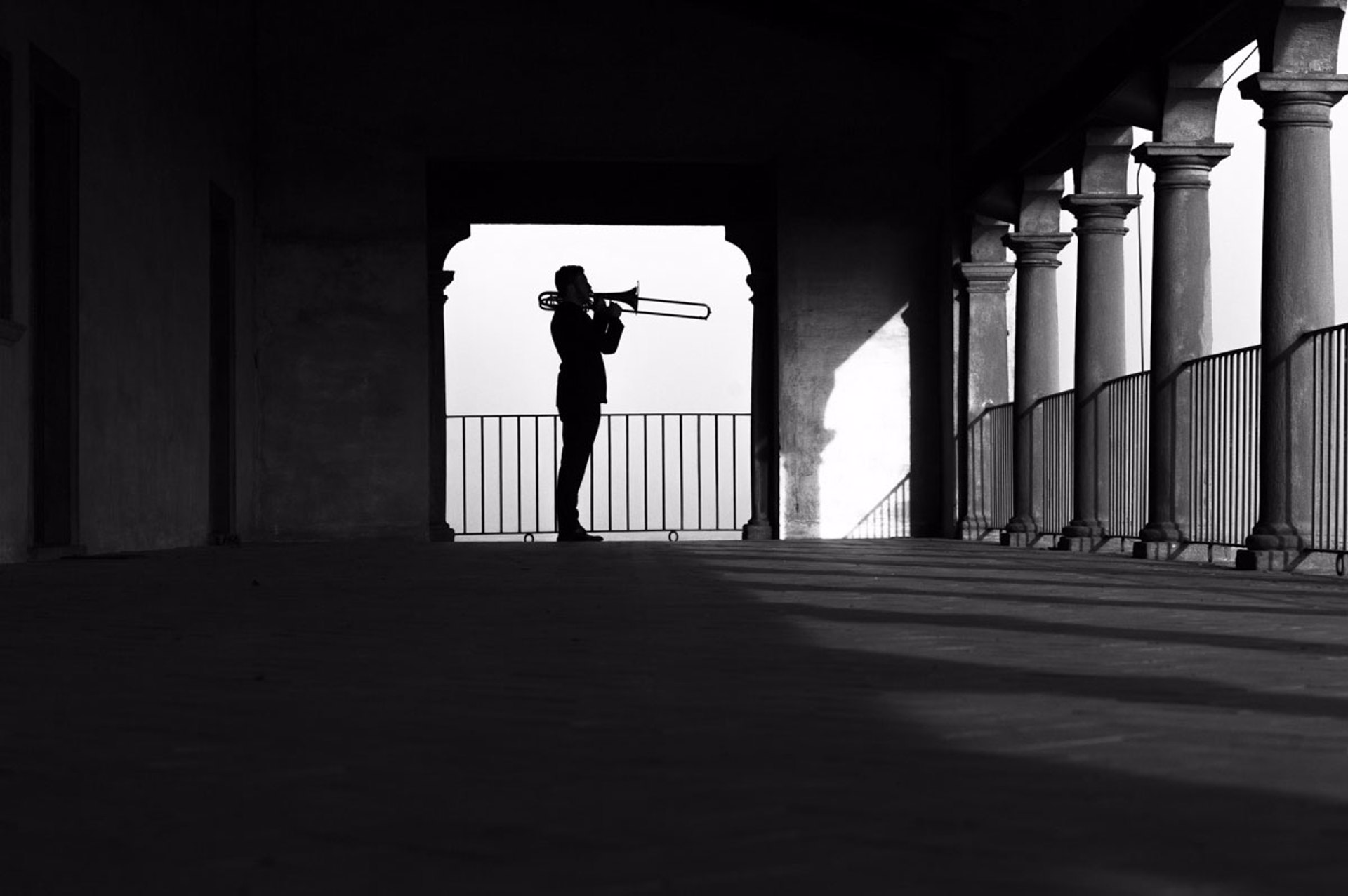 Stefano Belotti | Adams Artist