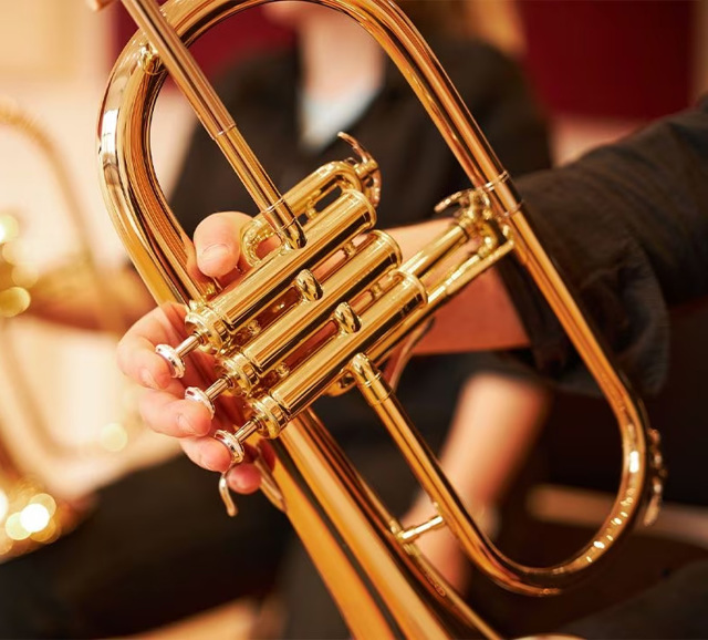 Buy Yamaha YFH-8310 ZG? Best price guaranteed at Adams!