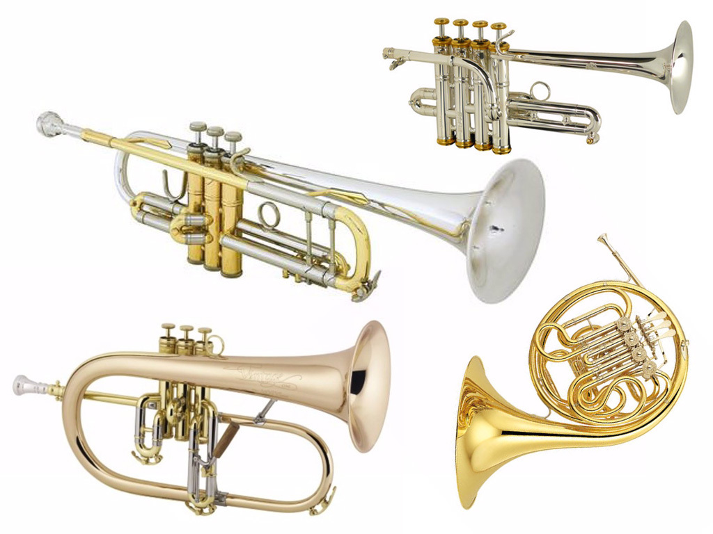 High Brass Instruments Trumpets Flugelhorns Cornets More at Adams