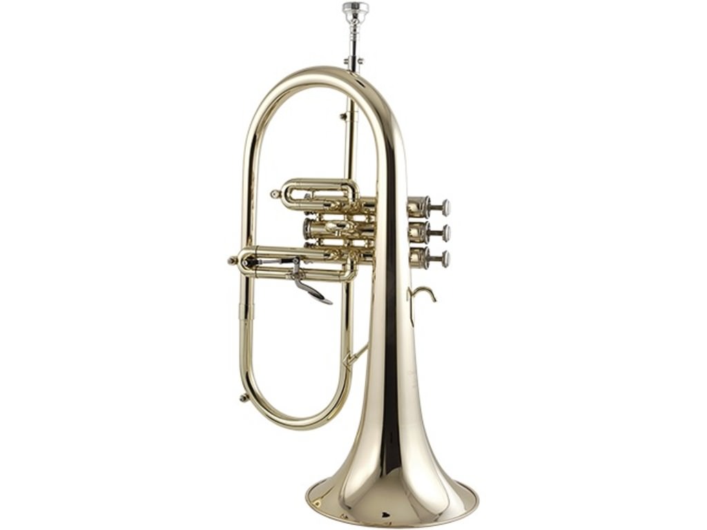 Flugelhorn Getzen 3895, Custom Series, 3 Valves, Goldbrass, trigger