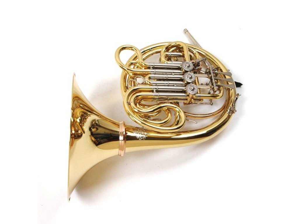 French Horn F Bb Alexander 103 GAL, Goldbrass, Double Horn, detachable