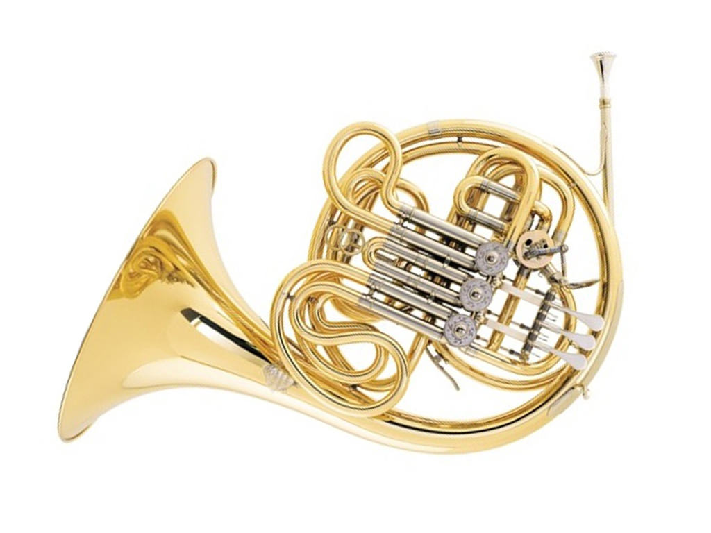 French Horn F Bb Alexander 103 GAL, Goldbrass, Double Horn, detachable