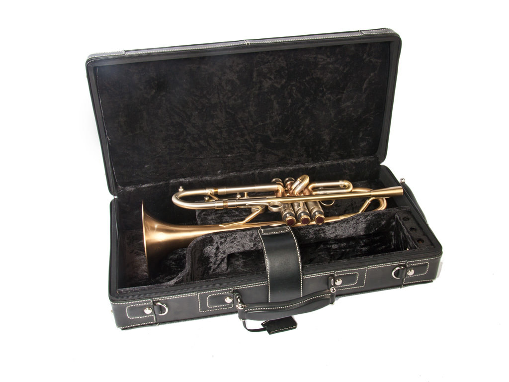 Etui Trumpet GLcases, Model Q2, Black leather, hard Case